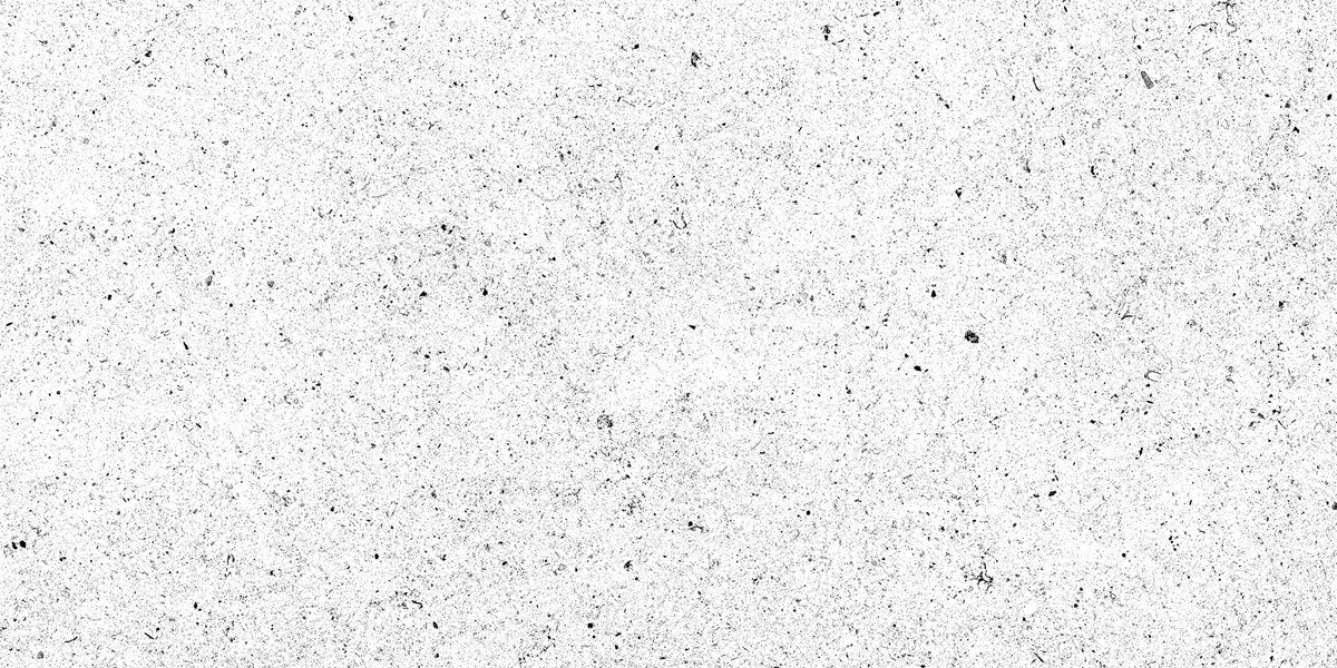 Carolina Silver Tile